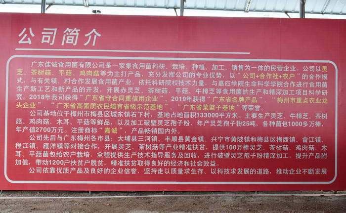 环境一角
