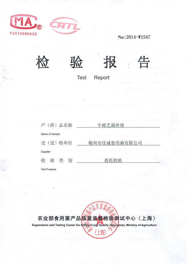 检测报告
